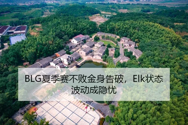 BLG夏季赛不败金身告破，Elk状态波动成隐忧