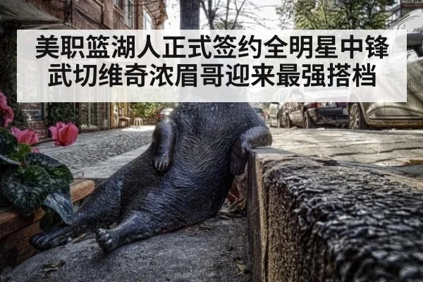 美职篮湖人正式签约全明星中锋武切维奇浓眉哥迎来最强搭档